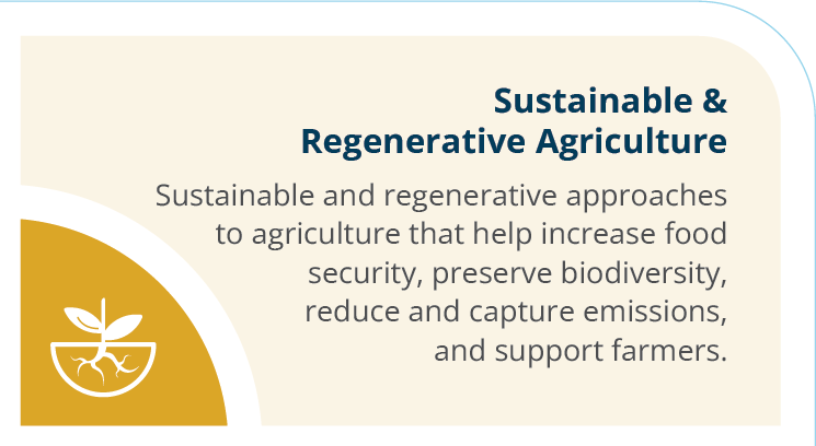 Investment_Themes_Intersectionality_OpenSans_Live_2024_topright