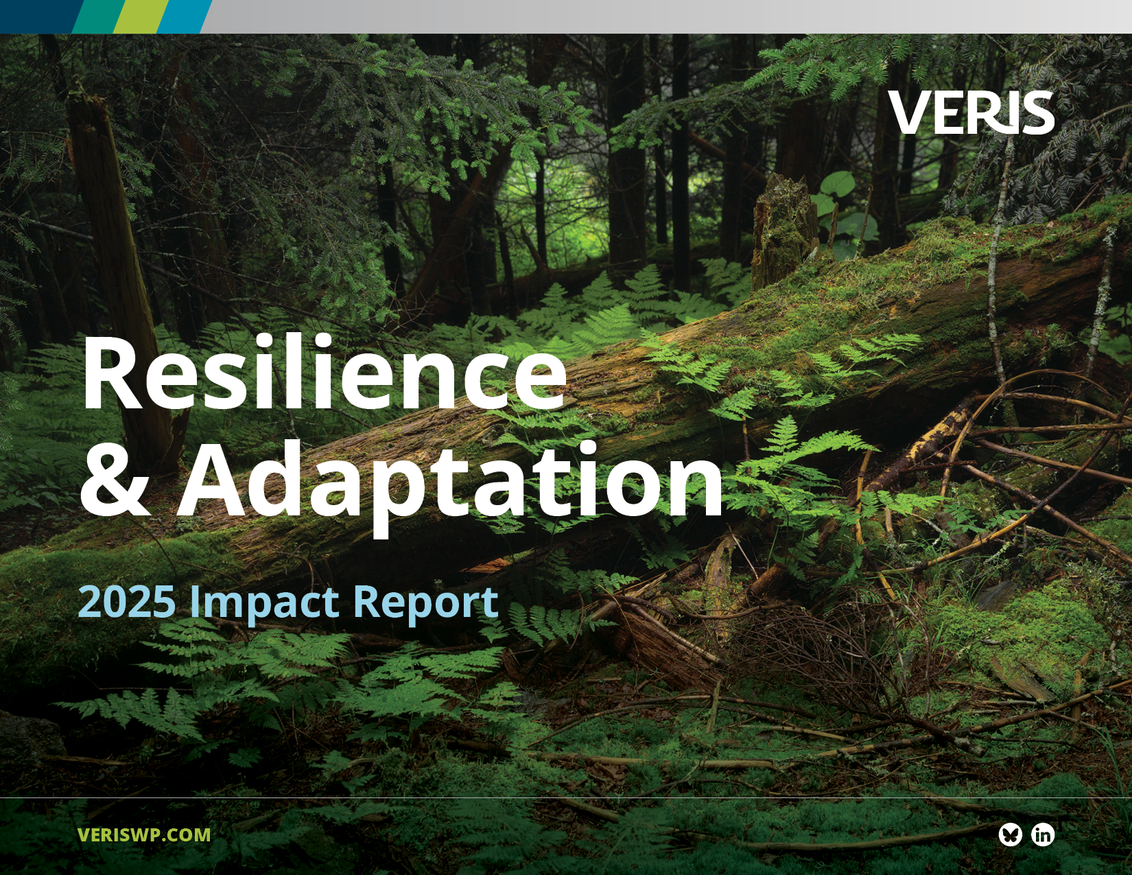 The cover image of Veris Wealth Partners' 2025 Impact Report features the report's theme: Resilience and Adaptation. The background photo is an image of a fallen tree being overtaken by new ferns growing up from the forest floor.